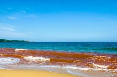 Nước biển đổi màu đỏ kỳ lạ tại Gia Lai không phải do tảo nở hoa