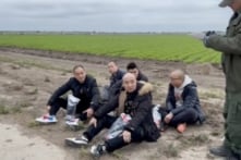 TQ: Từ thất vọng đến tuyệt vọng, cơn sốt tìm nơi đào thoát năm 2026 đã bắt đầu