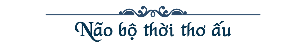 Não bộ thời thơ ấu