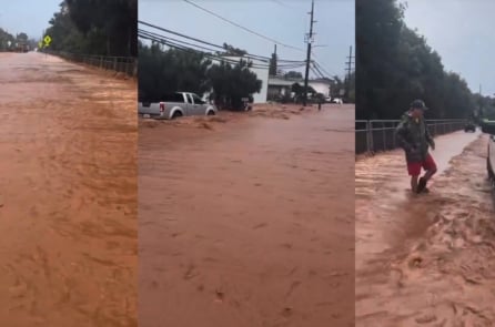 Lũ lụt nghiêm trọng tại Hawaii: Hơn 230 người được giải cứu