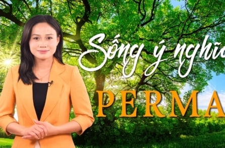 [VIDEO] Sống ý nghĩa với lý thuyết hạnh phúc PERMA