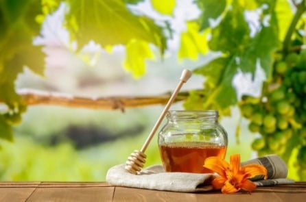 Ăn mật ong có giúp tăng tốc độ hồi phục của cơ thể?