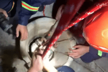 Gia Lai: Cứu cô gái 22 tuổi bị rơi xuống giếng sâu [VIDEO]