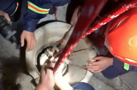 Gia Lai: Cứu cô gái 22 tuổi bị rơi xuống giếng sâu [VIDEO]