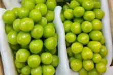 Việt Nam chi trăm triệu USD nhập trái cây Trung Quốc, nho dẫn đầu với 220 triệu