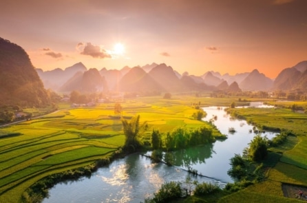 Việt Nam nhận gần 1.900 tỷ đồng từ quỹ khí hậu xanh cho dự án giảm phát thải rừng