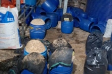 Khởi tố người sử dụng hóa chất kích thích sản xuất hơn 500 tấn giá đỗ