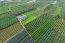 Mỗi thửa đất sẽ có mã định danh riêng theo tọa độ quốc tế