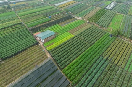 Mỗi thửa đất sẽ có mã định danh riêng theo tọa độ quốc tế