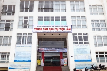 Việt Nam có gần 1,6 triệu thanh niên không việc làm, không học tập, không đào tạo