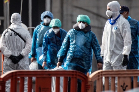 Du thuyền bùng phát virus Hanta cập cảng, hành khách được sơ tán theo từng đợt