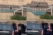Cư dân mạng phát hiện ông Trump vừa xuống xe, chim hỷ thước liền bay tới
