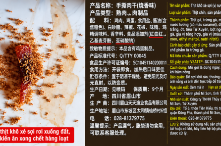 TQ: Một đứa trẻ làm rơi đồ ăn xuống đất, đàn kiến ăn xong chết hàng loạt