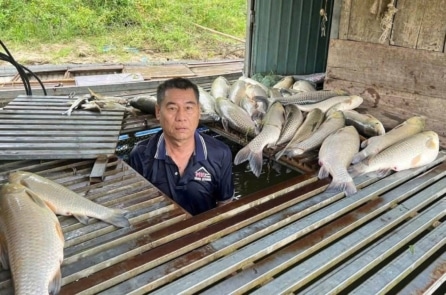 Cá chết hàng loạt trên sông Lam: Nghệ An nhận định không phải dịch bệnh thông thường