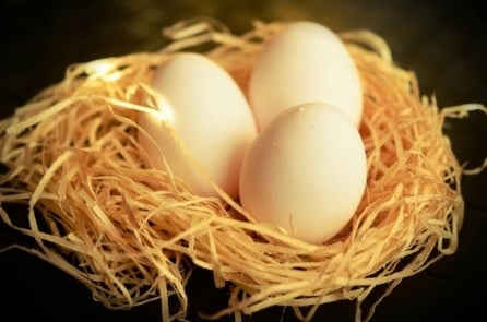 Điều gì xảy ra với cơ thể khi ăn trứng thường xuyên?