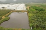 Nước giếng đổi màu tím bất thường ở Thanh Hóa: Doanh nghiệp bị phạt hơn 1,5 tỷ đồng