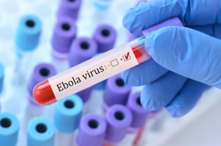 CHDC Congo xác nhận bùng phát dịch Ebola tại tỉnh Ituri