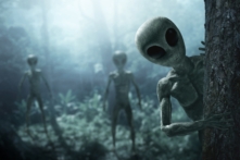 Cựu nhà khoa học CIA: Trong các UFO rơi có ít nhất 4 chủng loài ngoài hành tinh