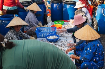 VASEP cảnh báo doanh nghiệp sau khi Mỹ đưa Việt Nam vào diện giám sát đặc biệt 