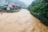 Lào Cai cảnh báo lũ sông, suối dâng cao đến 4m