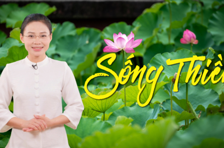 [VIDEO] Thắp sáng ngọn đèn tâm: Sống thiền