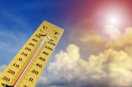 Vì sao các nhà khoa học lo ngại về sự xuất hiện của siêu El Niño?