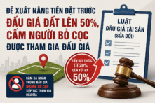 Đề xuất nâng tiền đặt trước đấu giá đất lên 50%, bổ sung quy định với người bỏ cọc 