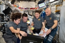 Trúng tuyển phi hành gia NASA khó gấp 30 lần đại học Harvard
