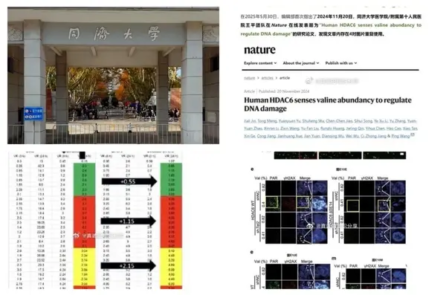 Tạp chí Nature thu hồi 2 bài báo của các học giả Trung Quốc