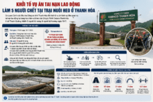Khởi tố vụ án tai nạn lao động khiến 5 người tử vong tại trang trại heo ở Thanh Hóa 
