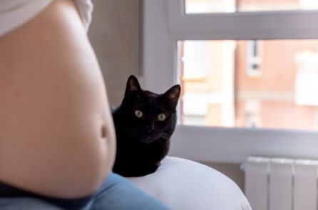 Toxoplasmosis: Căn bệnh âm thầm đe dọa trí não của hàng tỷ người