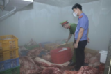 Hưng Yên phát hiện gần 1 tấn thịt lợn nghi nhiễm dịch tả lợn châu Phi 