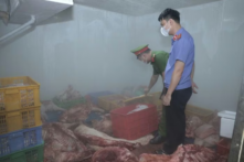 Hưng Yên phát hiện gần 1 tấn thịt lợn nghi nhiễm dịch tả lợn châu Phi 