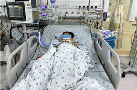 Ăn thịt chuột đồng nhiều ngày, 3 cháu bé bị ngộ độc thuốc diệt chuột