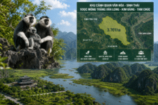 Phú Thọ cho ý kiến về 3.701ha đất trong hồ sơ di sản voọc mông trắng