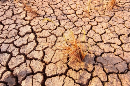 El Niño sẽ kéo dài thêm nửa năm, ảnh hưởng thế nào đến thời tiết toàn cầu?