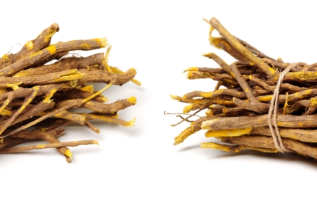 Berberine: Dược chất dân gian giúp hỗ trợ kiểm soát rối loạn chuyển hóa Berberine: Dược chất dân gian giúp hỗ trợ kiểm soát rối loạn chuyển hóa