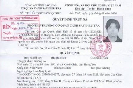 CEO của Box Việt Nam bị truy nã với cáo buộc xâm phạm quyền tác giả, quyền liên quan