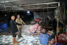Đồng Nai: 400 tấn heo bệnh, heo chết đã tuồn vào các cơ sở giò chả, chợ cóc