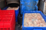 7 thùng phi, 3 rổ nhựa đựng 820 kg lòng lợn đang phân hủy trong thùng xe