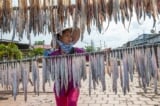 Khô cá – Chấm than hay chấm hỏi?