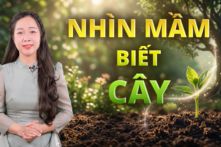 [VIDEO] Trí tuệ cổ nhân: Nhìn mầm biết cây
