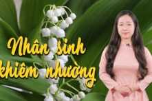 [VIDEO] Người thông thấu nhân sinh sống khiêm nhường, thấp điệu