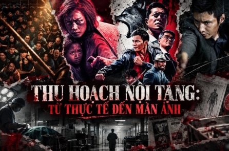 Thu hoạch nội tạng: Từ thực tế đến màn ảnh