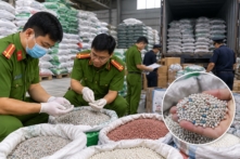 Đắk Lắk phát hiện đường dây sản xuất hơn 24.000 tấn phân bón giả