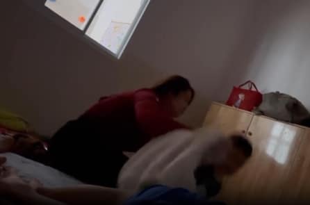 Đồng Tháp: Đình chỉ 4 tháng cơ sở mẫu giáo đánh trẻ em