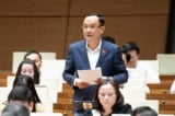 ĐBQH: Không nên mặc nhiên thu hồi phần đất còn lại khi dự án đạt ngưỡng 75%