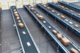 EU áp thuế mới, lượng hàng giá rẻ từ Trung Quốc vào Séc giảm 81%
