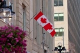 Ottawa phạt tới 1,5 triệu đôla Canada đối với hành vi tư vấn di trú gian dối