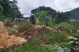 Đèo Đa Mi (Lâm Đồng) đã thông tuyến, nguy cơ tái sạt lở